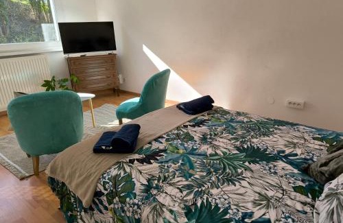 Sarrebourg Apartment | Studio d'Angélique