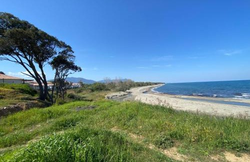 Bravone Apartment | Studio en bord de mer sur Costa Serena N54