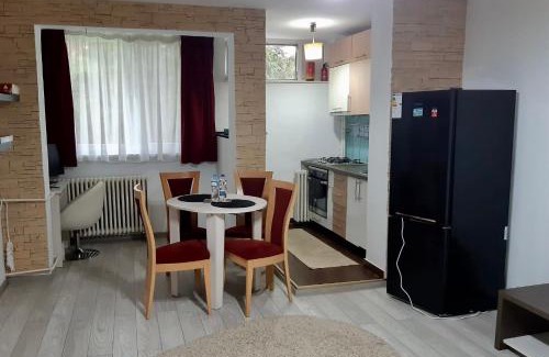 Miercurea-Ciuc Apartment | Studio flat