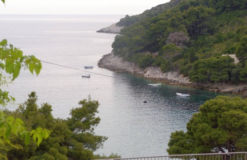 Saplunara Apartment | Studio flat with terrace and sea view Cove Saplunara, Mljet (AS-12849-a)