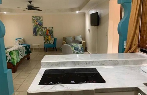 Playa Flamingo Apartment | Studio Ixora Flamingo: shared pool & patio in gated community. Pet-Friendly!