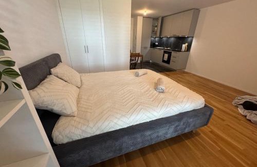 Delemont Apartment | Studio moderne avec parking