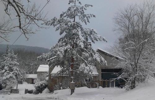 Saint-Priest-la-Prugne Apartment | Studio Montagne avec Terrasse Privative, Wifi, Près de Sentiers de Randonnée, Animaux Acceptés - FR-1-496-224