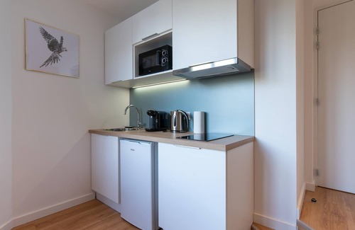 Jean Moulin - Marius Berliet Apartment | Studio-Superior-Wet room-Street View