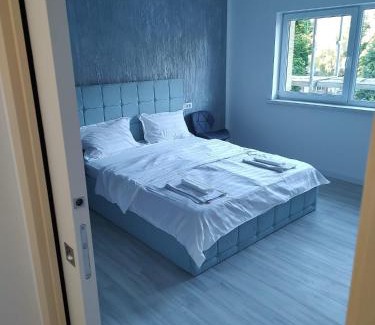 Vata de Jos Apartment | Studio Vata