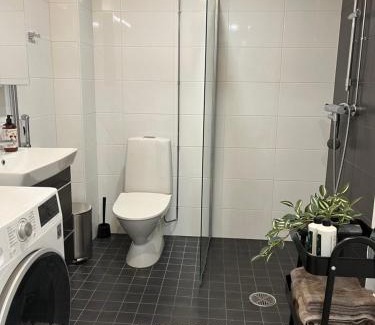 Vantaa City Centre Apartment | Studio VIP - close to airport and Tikkurila train station
