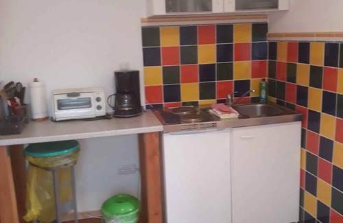 Usedom Apartment | Studio with barbecue in the garden