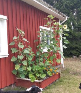 Klatten House | Stuga Åsnagård