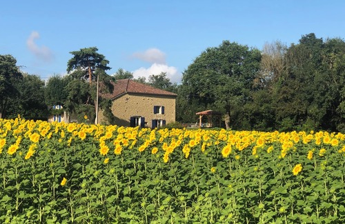 Saint-Puy House | Stunning and sensitively converted barn with 14x7m pool
