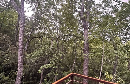 Brevard Cabin | Stunning brand new modern 2-bedroom cabin in beautiful Brevard with AC, WiFi