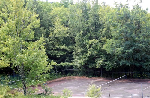 Lexington House | Stunning Custom Built Lodge on Secluded Streamside Acreage w/Breathtaking Views