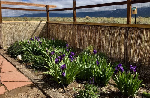Crestone House | STUNNING MTN. VIEWS, Quiet, Pvt. 8 Acre Homestead