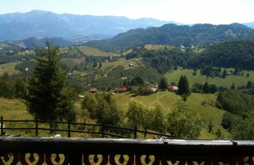 Sirnea Ski Chalet | Stunning views, cozy setting, nature, pet friendly