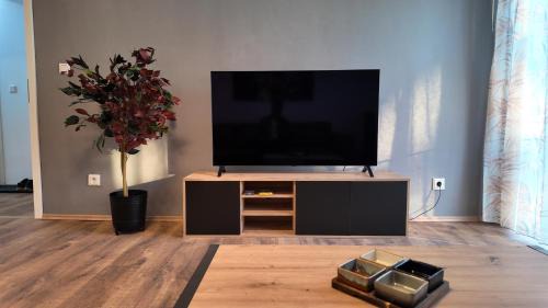 Gelsenkirchen-Mitte Apartment | Stylisches City Apartment im Pott Modern und Gemütlich