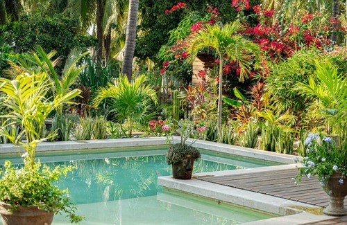 Saladita House | Stylish Surf House w/pool - unbeatable location, right in front of the wave!