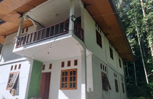 Sopai House | Sugi House Toraja - Penginapan Villa Harian Keluarga -Muat 20 orang