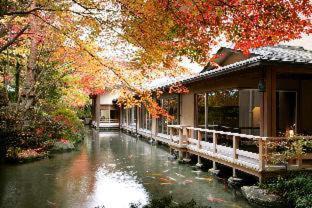 Gero Onsen Hotel | Suimeikan