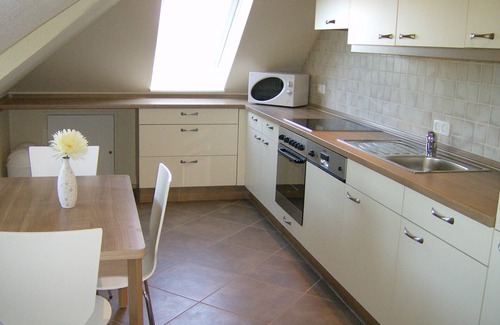 Woehrden Condo | Suitable for allergy sufferers