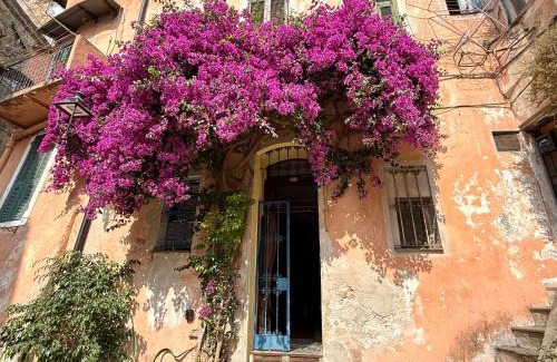 Sanremo Old Town Apartment | Suite Vecchio Frantoio - Sanremo
