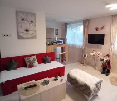 Gornji Milanovac House | Sumska vila Zorica