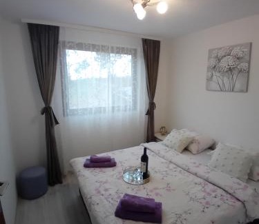 Gornji Milanovac House | Sumska vila Zorica