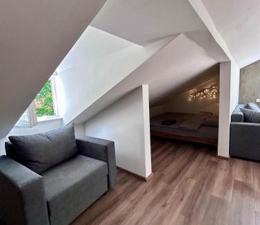 Zemgale Suburb Apartment | Sun-Kissed Studio