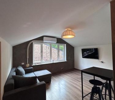 Zemgale Suburb Apartment | Sun-Kissed Studio