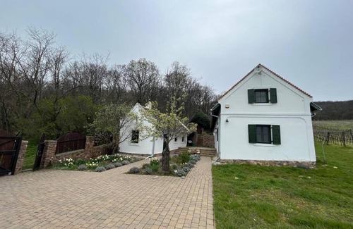 Abrahamhegy House | Sun & Wine Balaton
