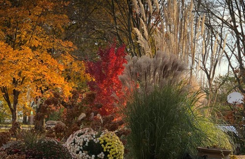 Cedar Falls Bed & Breakfast | Sunlight Splendor Apartment at Twin Oaks Inn by the Trails