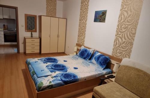 Tankovo Apartment | Sunny Day 6