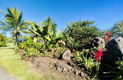 Kapoho Apartment | Sunrise Suite - Oceanfront lodging