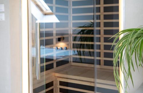 Belfort Apartment | Superbe appartement avec Sauna Spa Massage