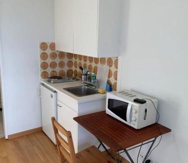 Oberstrass Apartment | Superior Apartment with City View University110