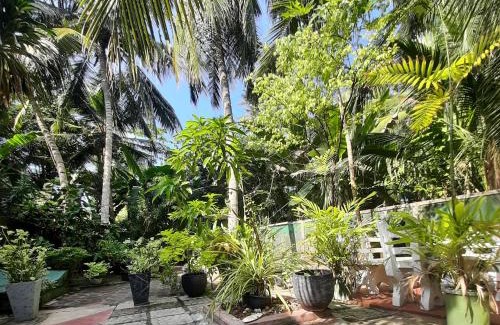 Aturuwella Bed & Breakfast | Susee Villa
