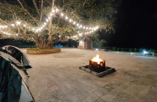 Heggadadevankote House | Suvarna Farm Stay