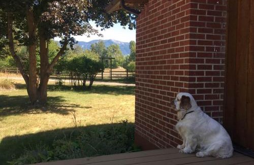 Evergreen Apartment | Swan Mountain View-Private Basement Suite/10 acres
