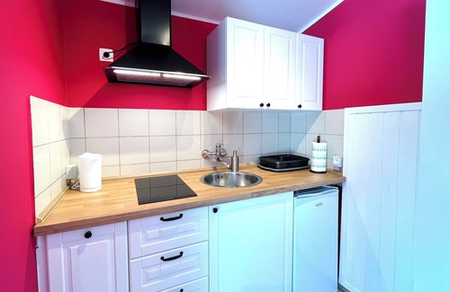 Nova Gorica Apartment | Sweet apartment studio Grape with a garden view