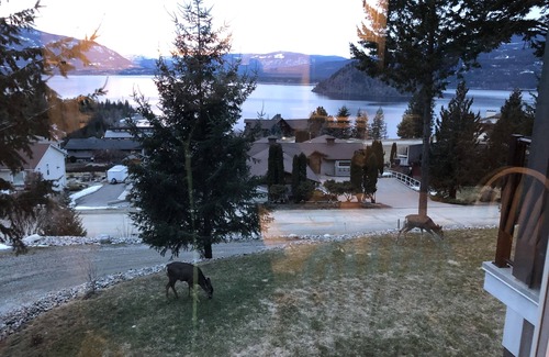Blind Bay House | Sweet Suite Views: 1 Bedroom Suite/Sweeping Lake View/Nearby Beaches/Sunsets.