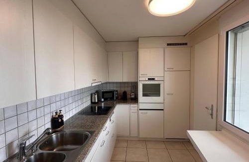 Oberrohrdorf Apartment | Swiss Suites Oberrohrdorf