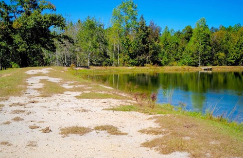 Sylvania House | Sylvan Cabin on 73 Acres - Pond On-Site!