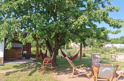 Szentendrei House | Sziget Gyöngye Vendégház
