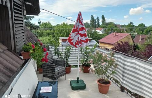 Lakitelek Apartment | Tőserdő