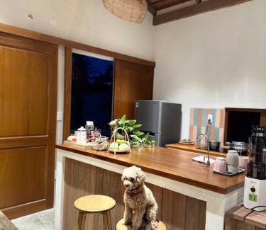 Mang Yang Apartment | Tổ Ong Kiến Bình Định