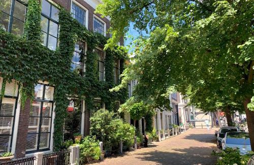 Schiedam Apartment | 't hart van Schiedam