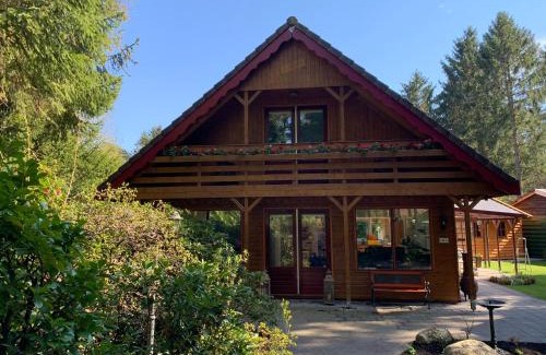 Norg House | 't Holten Huus - Puur genieten in het bos.