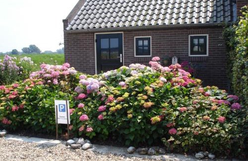Welsum House | 't Kruushuus