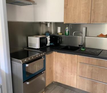 Ax-les-Thermes Apartment | T2 50m2 résidence les Acacias Vue Dégagée Montagne