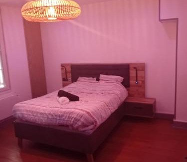 Alencon Apartment | T2 cosy plénitude h24 wifi parking gratuit Netflix