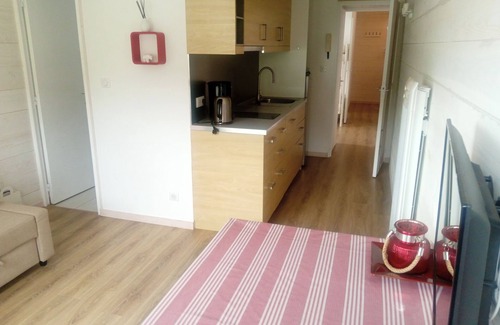 Eaux-Bonnes Apartment | T2Bis apartment at the foot of the slopes/residence euroneige