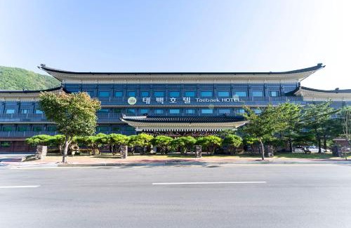 Taebaek Hotel | Taebaek Hotel